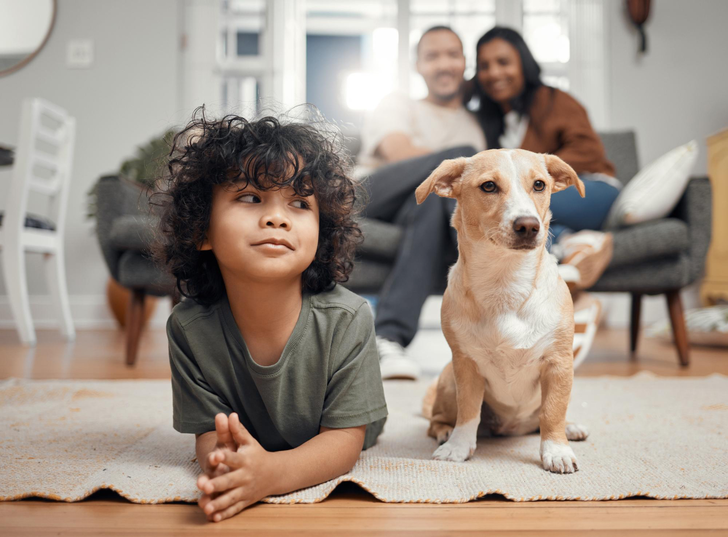 Choosing the Perfect Pet for Your Family: A Skillman Animal Clinic Guide